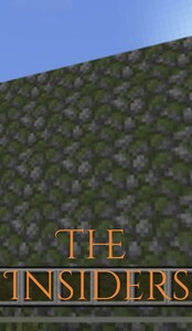 The Outsider’s Maze