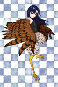 The Ideal Highcliff Girl