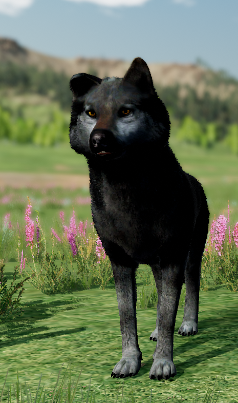 Luna Ref