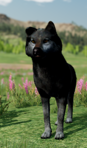 Luna Ref