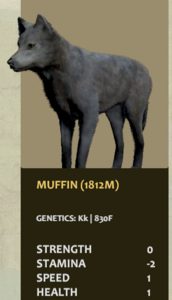 Muffin Ref