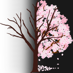 Book icon