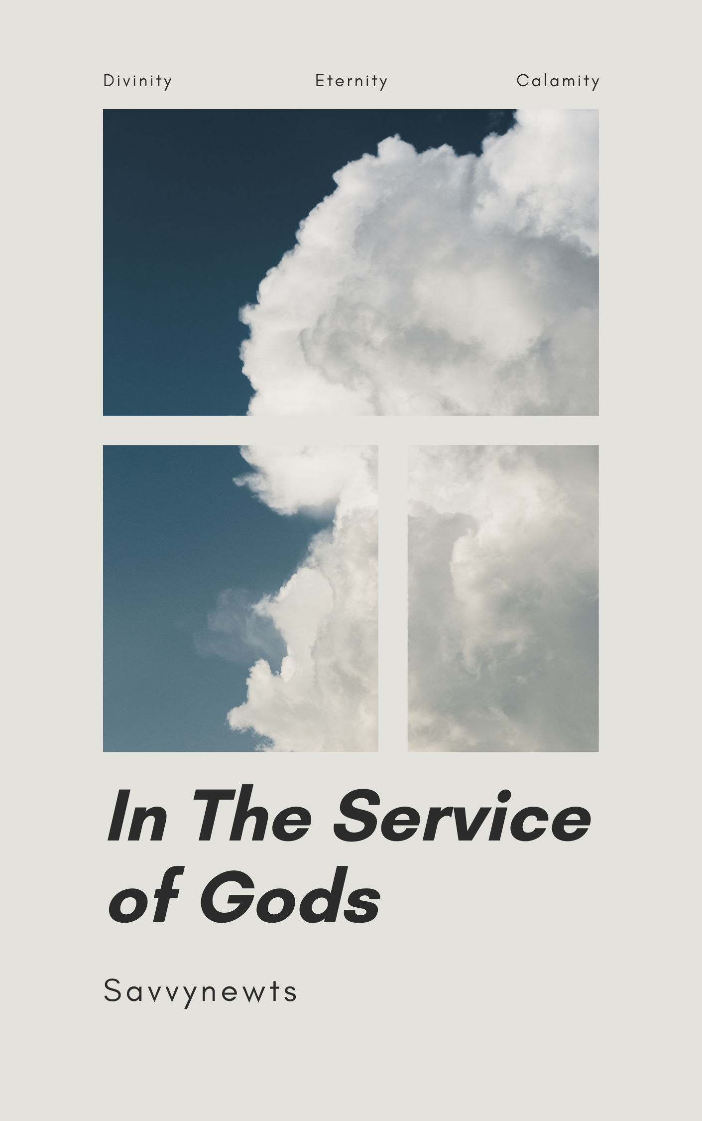 In the Service of Gods Cover