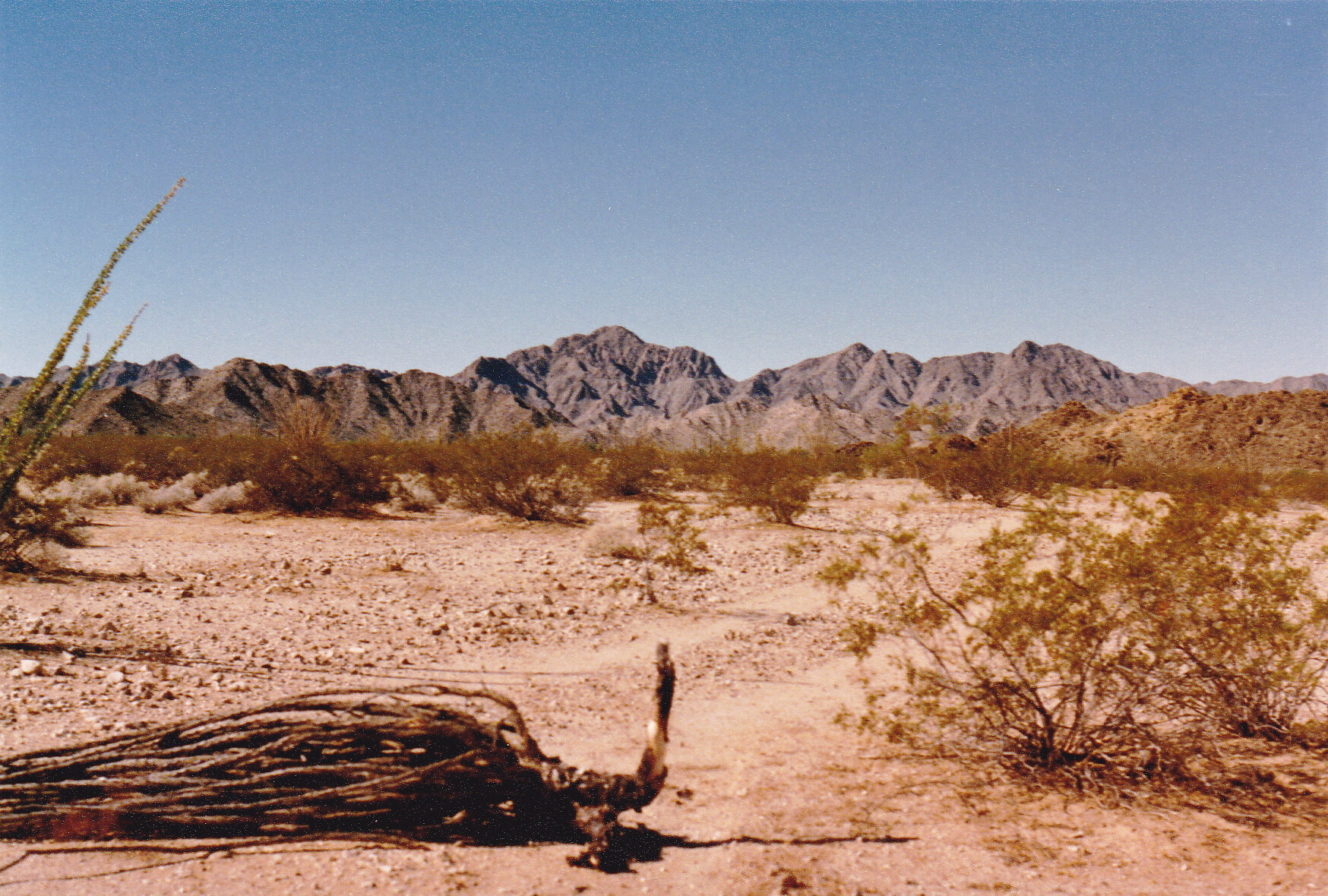 Test image