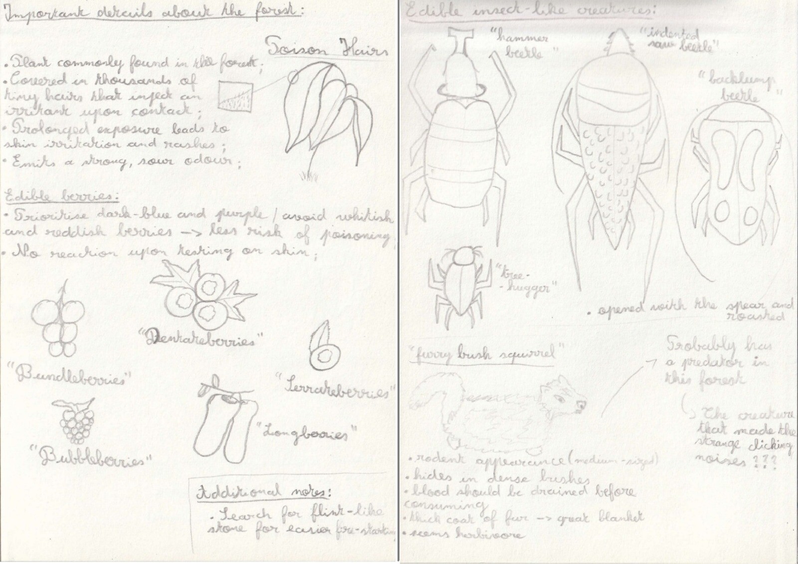 First and Second Pages of the Protagonist's Notebook