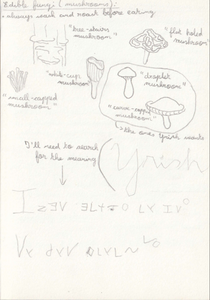 Third Page of the Protagonist's Notebook (Fourth Page Not Yet Published)