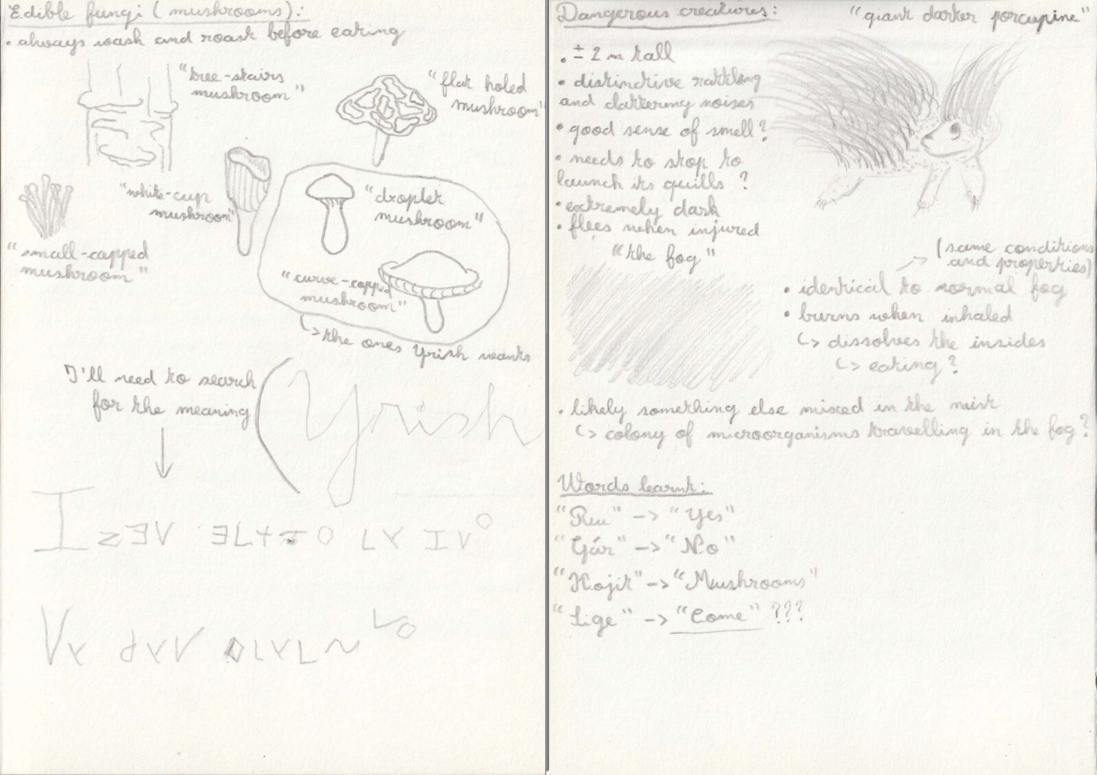 Third and Fourth Pages of the Protagonist's Notebook