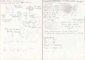 Third and Fourth Pages of the Protagonist's Notebook