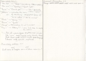 Fifth and Days Tracking Pages of the Protagonist's Notebook