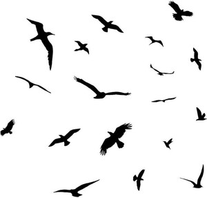 Goodbye Songbird