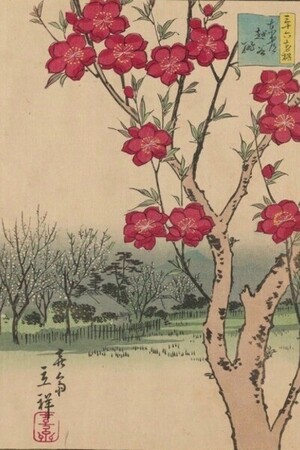 Peach Blossoms at Koshigaya in the Eastern Capital, by Hiroshige II (1866).