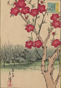 Peach Blossoms at Koshigaya in the Eastern Capital, by Hiroshige II (1866).