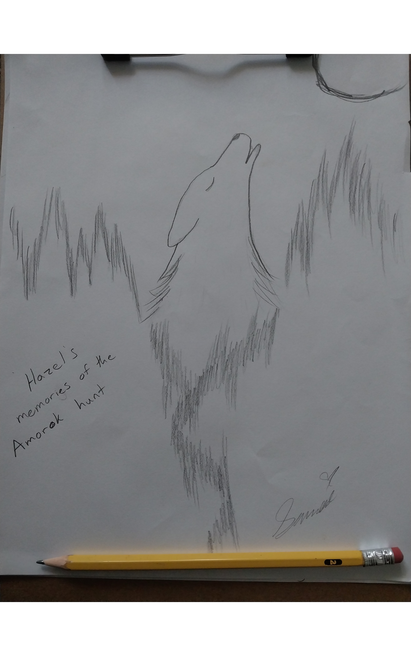 Hazel's memories of the Amarok hunt cover