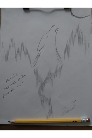 Hazel's memories of the Amarok hunt cover