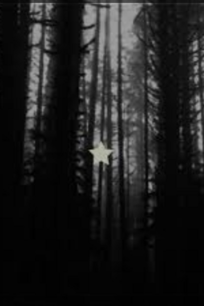 A Field Of Daises (Limited Cover Sneak Peak)