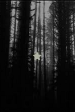 A Field Of Daises (Limited Cover Sneak Peak)