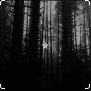 A Field Of Daises (Limited Cover Sneak Peak)