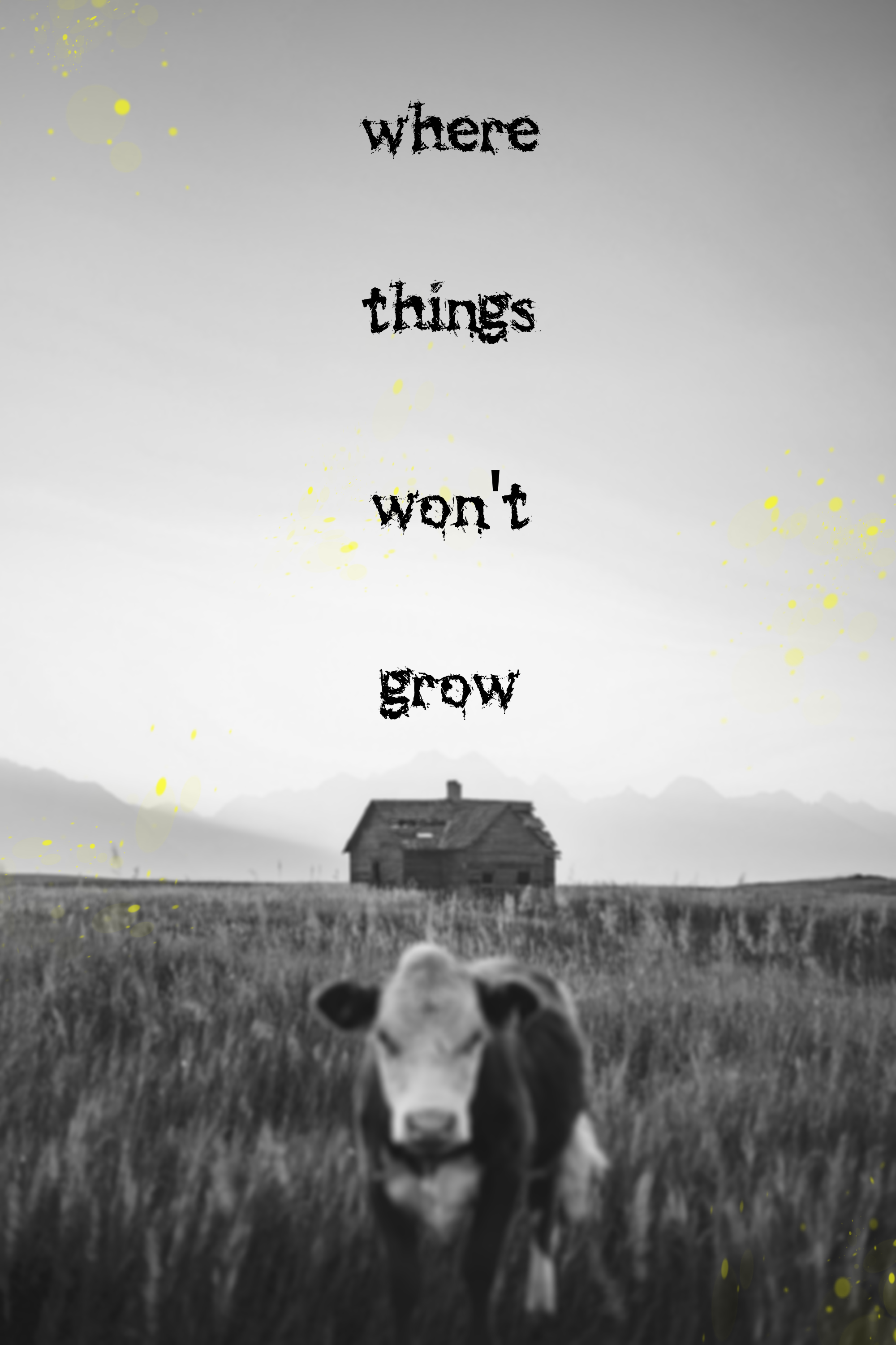 where things won't grow cover