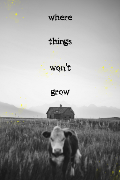 where things won't grow cover