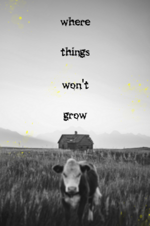 where things won't grow cover