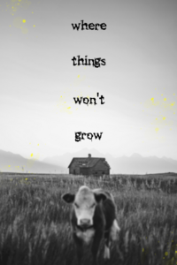 where things won't grow cover