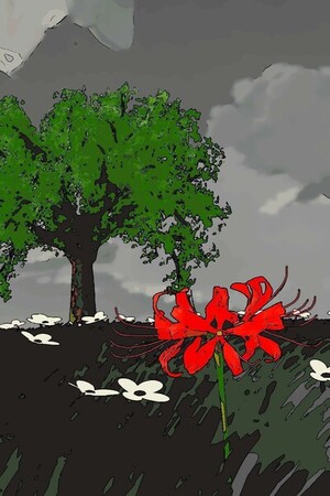 The Roses Bloomed From Blood Bath