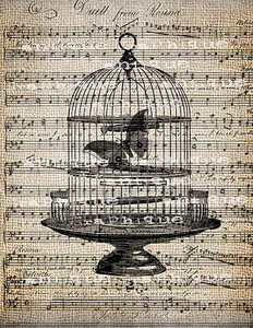 Miss Elenor's personal greenhouse