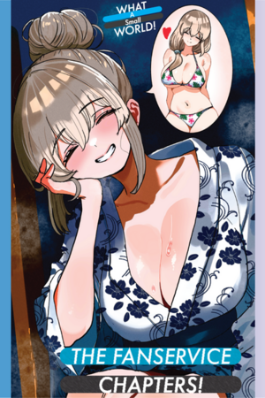 The Fanservice Chapters! — Cover Illustration