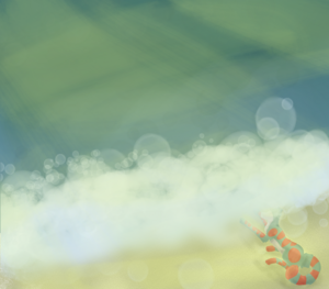 Placeholder cover