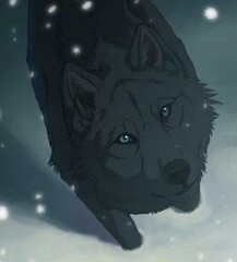 Carra Wolf