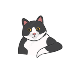 Bagufix