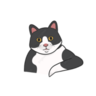 Bagufix
