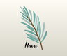 Havu