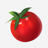 Tomato-San