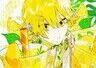 Sunflowerdaydream