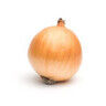 A Literal Onion
