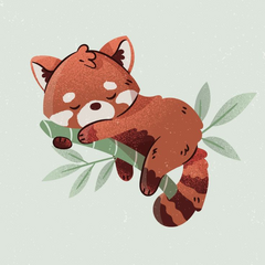 Red Panda