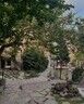 Elysiaaxton8