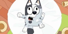 Heybo