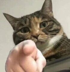 Sargi