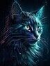 Dragonkitty