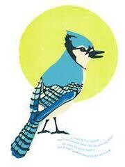 TheBlueJayAndTheMoon