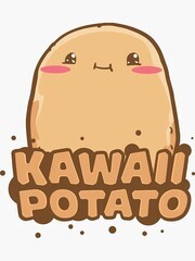 Potato—Fried