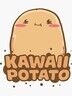 Potato—Fried