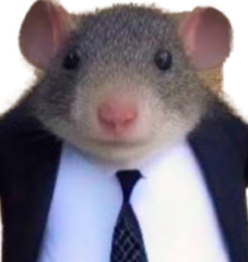 RatthewCheddarsen