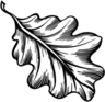 Northern Druid