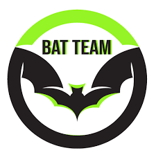 The Bat Team