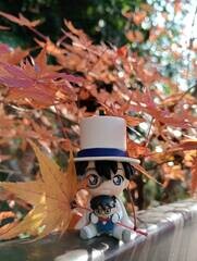Kuma