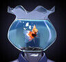 2ndwind