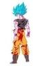 Son Goku